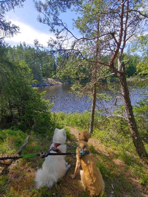 Tyresta
