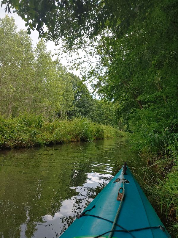 Spreewald