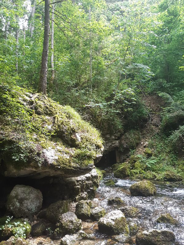 Gorges du Bruyant — photo 3