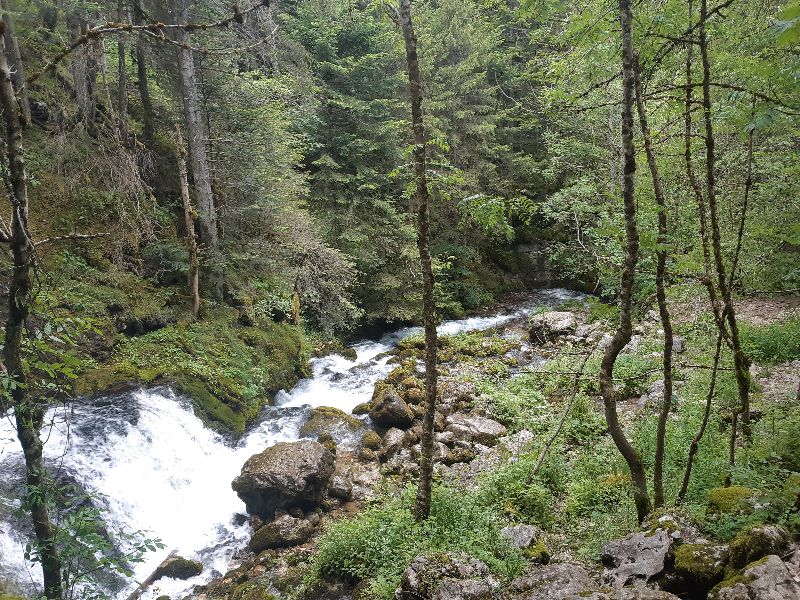 Gorges du Bruyant — photo 2