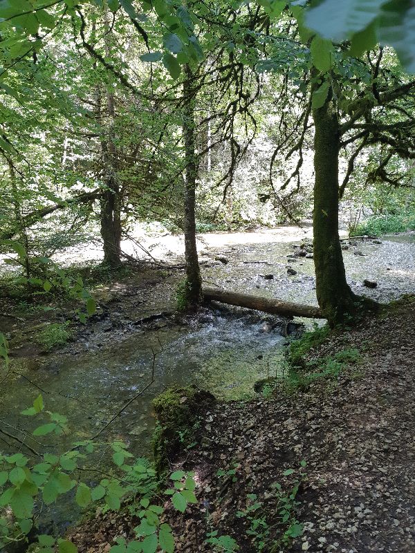 Gorges du Bruyant