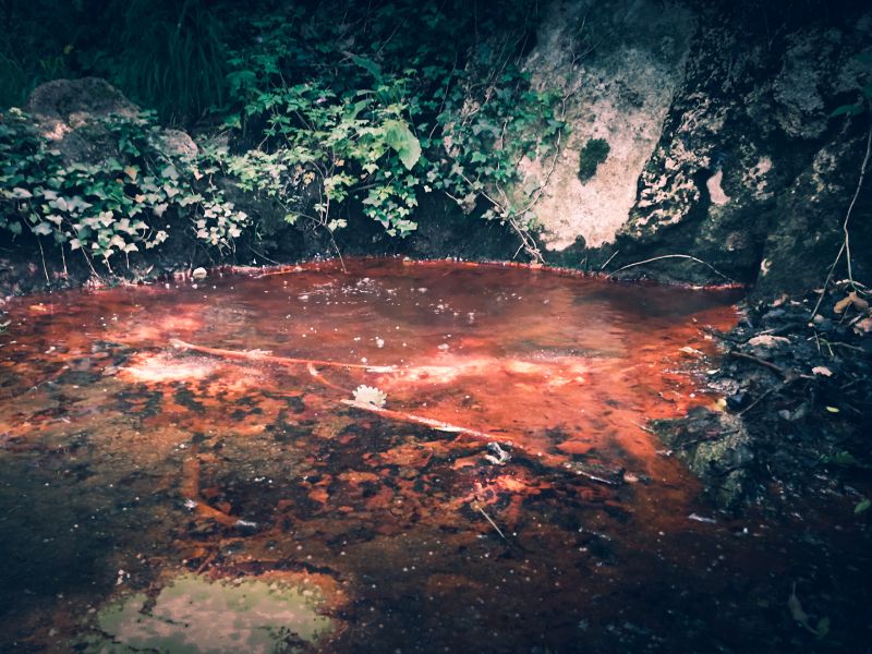 Source de la Tête de Lion — photo 2