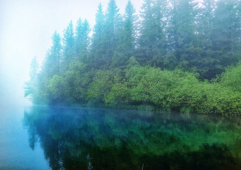 Lac du Guéry — photo 3