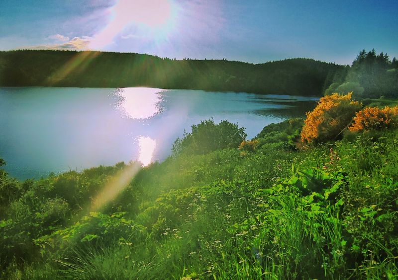 Lac du Guéry — photo 4