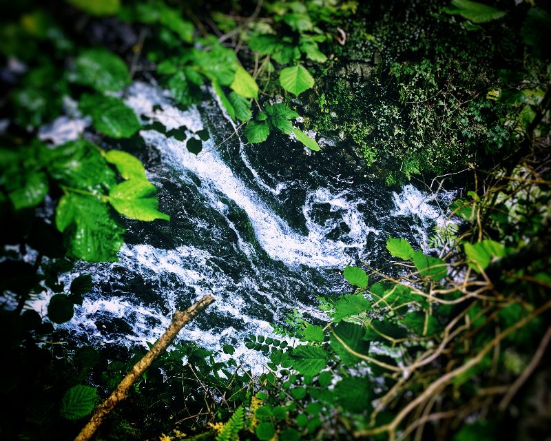 Cascade des Saliens — photo 2