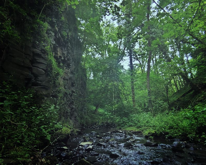 Cascade des Saliens — photo 3