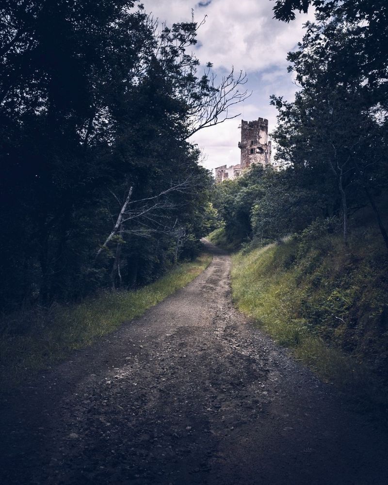 Château de Tournoël — photo 3