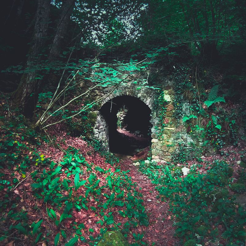 Ruines de la Chartreuse Port Sainte Marie — photo 2