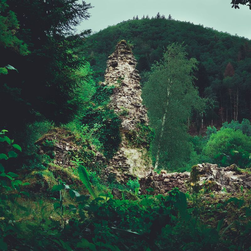 Ruines de la Chartreuse Port Sainte Marie — photo 3