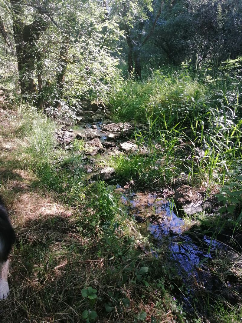 La cascade de Pommiers — photo 2