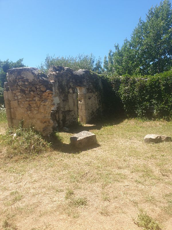 Parc des Carmes — photo 5