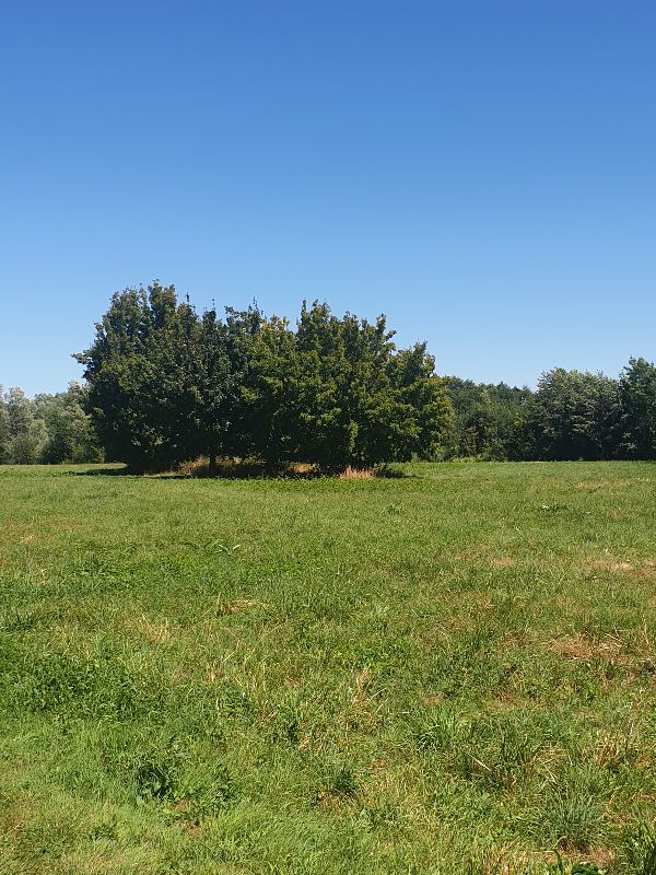 Parc des Carmes — photo 2