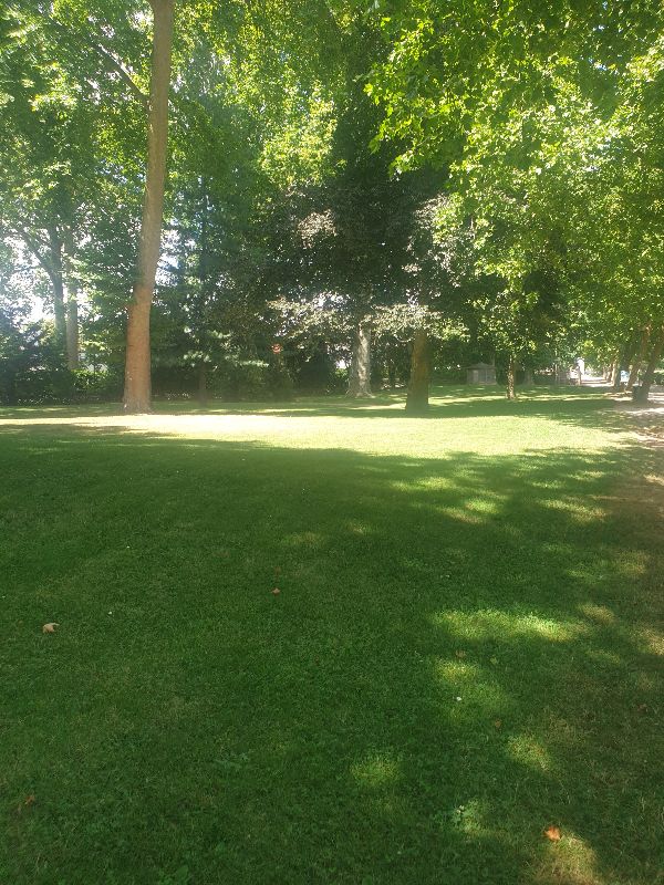 Parc des Carmes — photo 7