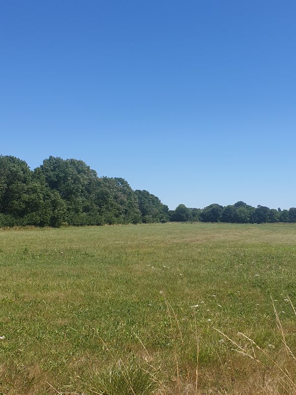 Parc des Carmes — photo 4