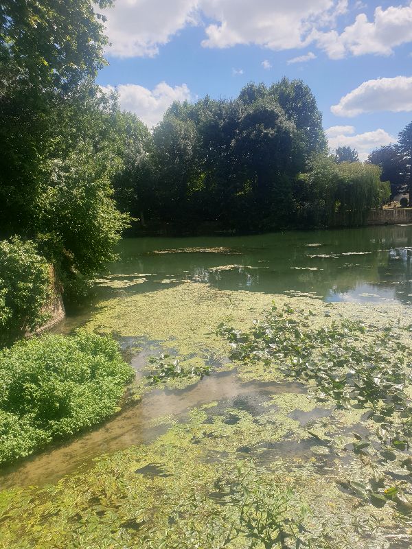 Parc des Carmes — photo 10