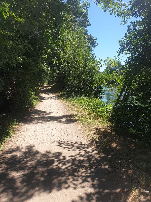 Parc des Carmes — photo 3