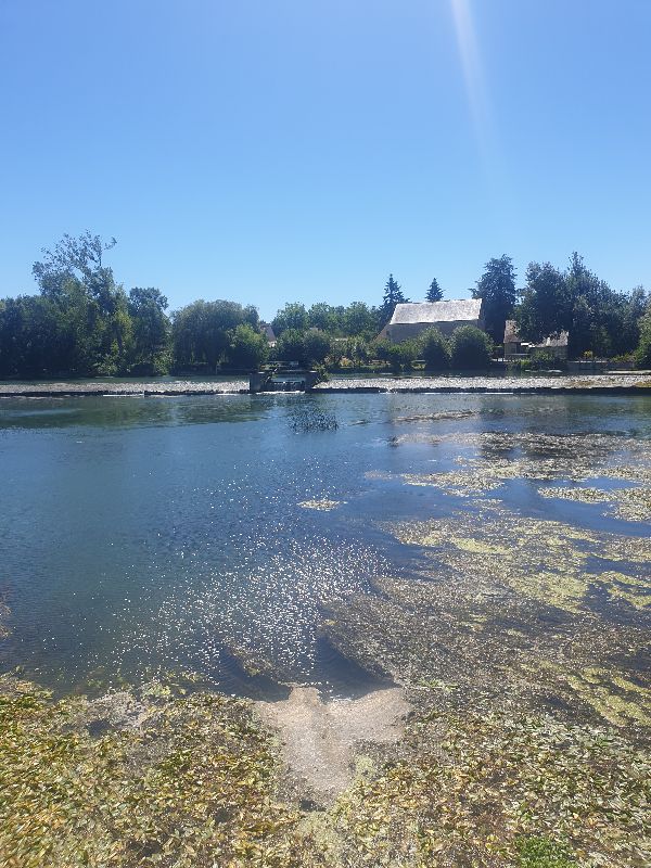 Parc des Carmes — photo 8