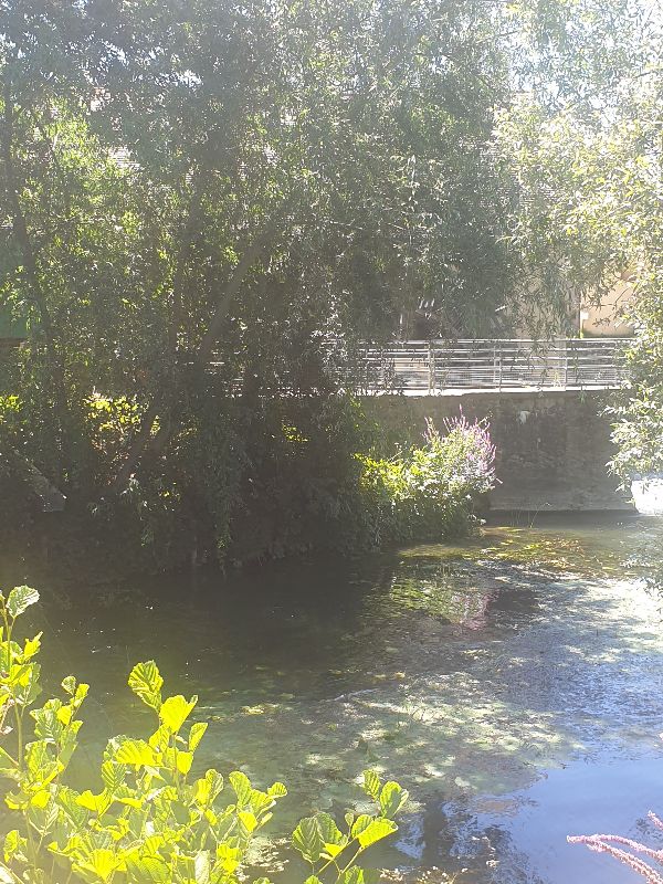 Parc des Carmes — photo 9