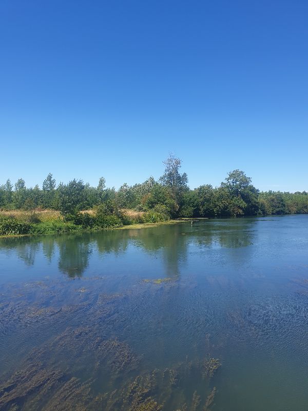 Parc des Carmes — photo 12