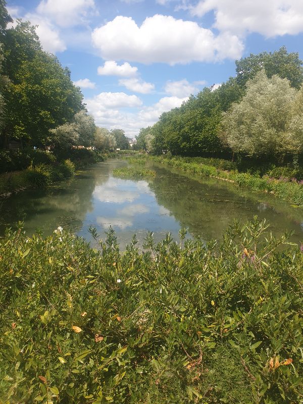 Parc des Carmes — photo 13