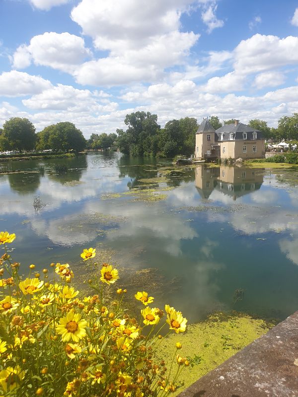 Château des Carmes — photo 2