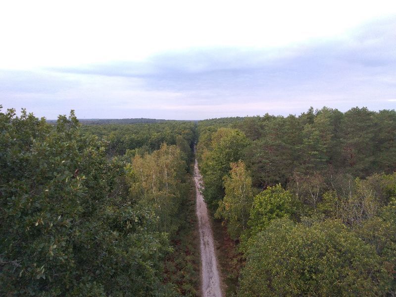 Belvédère des caillettes — photo 3