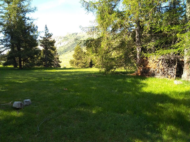 La cabane aux corneilles — photo 3