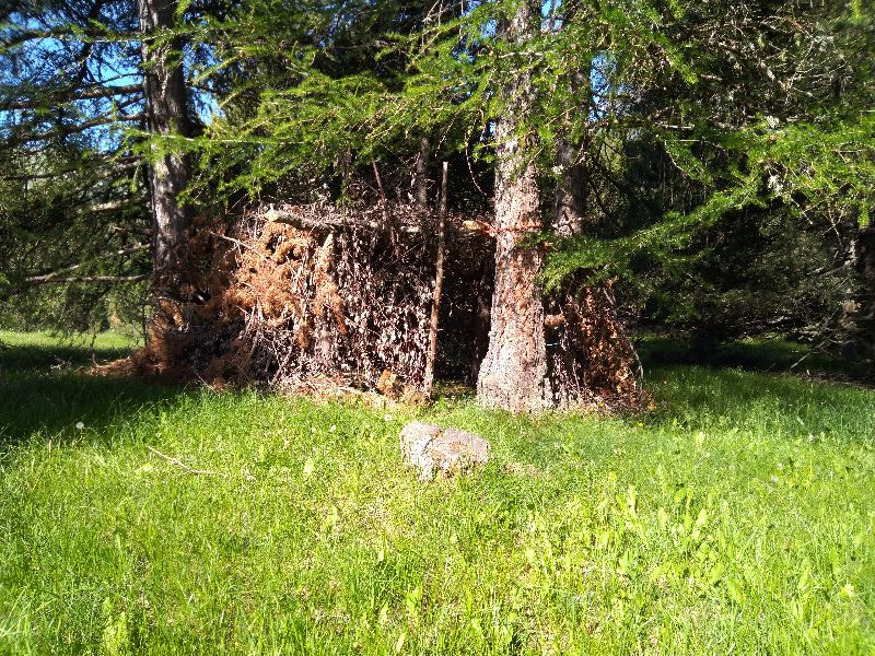 La cabane aux corneilles — photo 4
