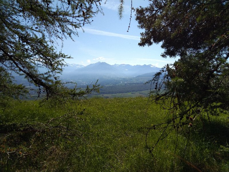 La cabane aux corneilles