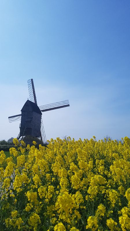 Noormeuleun (moulin du nord) — photo 2