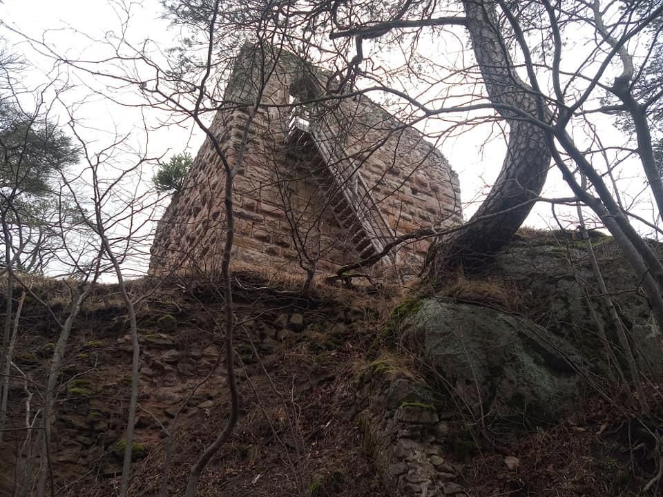 Château du Bilstein — photo 3