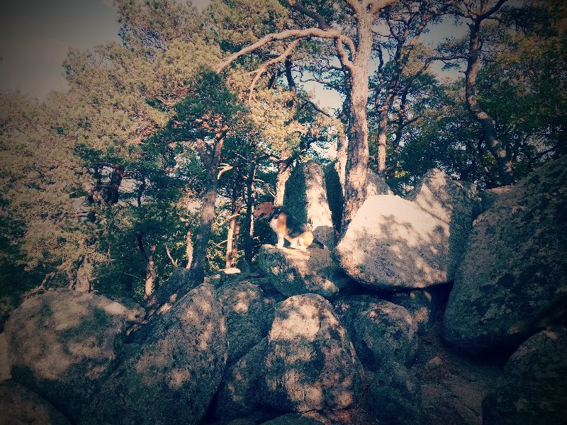 Le rocher du corbeau — photo 3