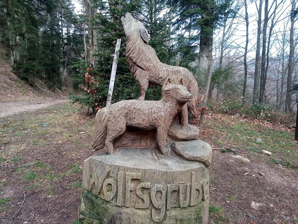 Col de Wolfgrube (fosse aux loups) — photo 2