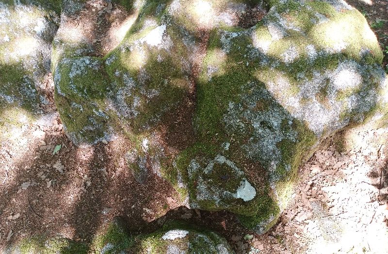 Rocher du coucou — photo 5