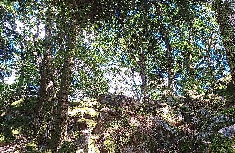 Rocher du coucou — photo 2