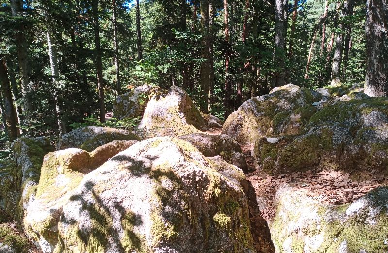 Rocher du coucou — photo 4