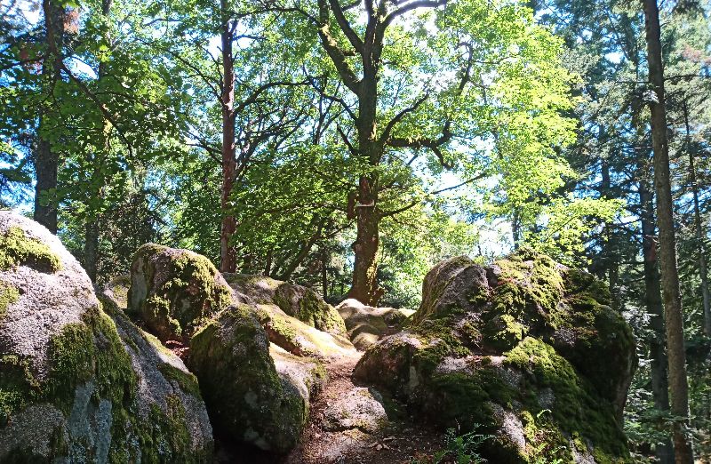 Rocher du coucou — photo 3