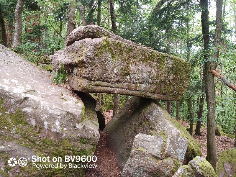 Table des Druides — photo 2