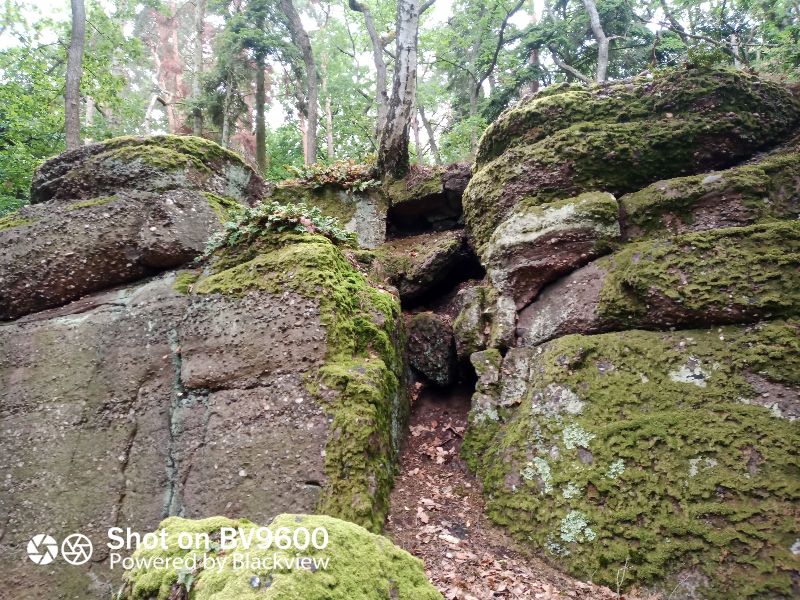 Table des Druides — photo 3