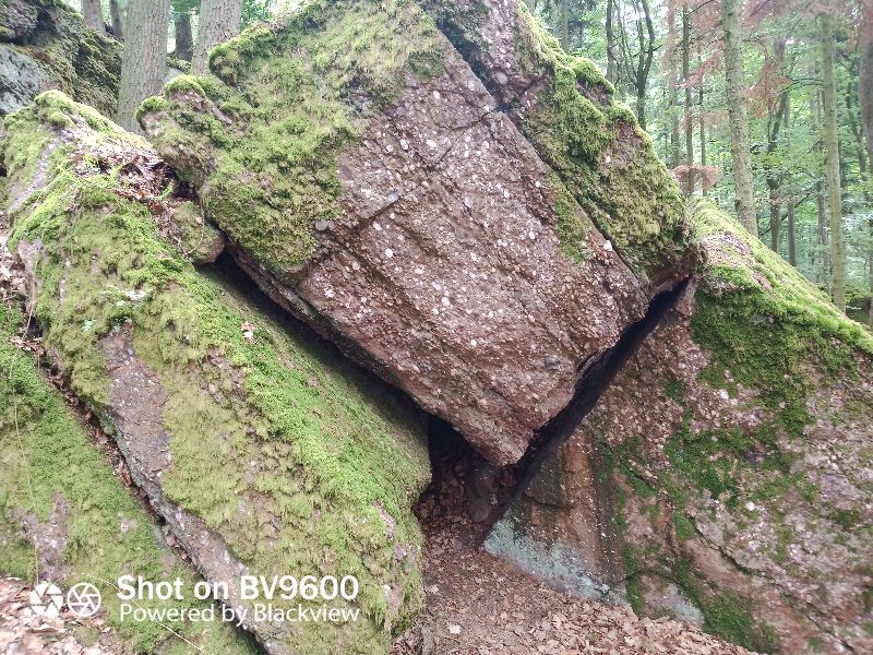 Table des Druides
