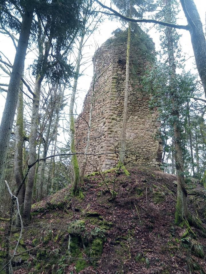 Reichenstein