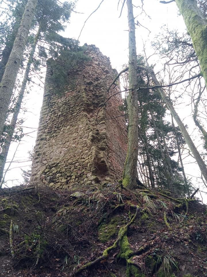 Reichenstein — photo 2