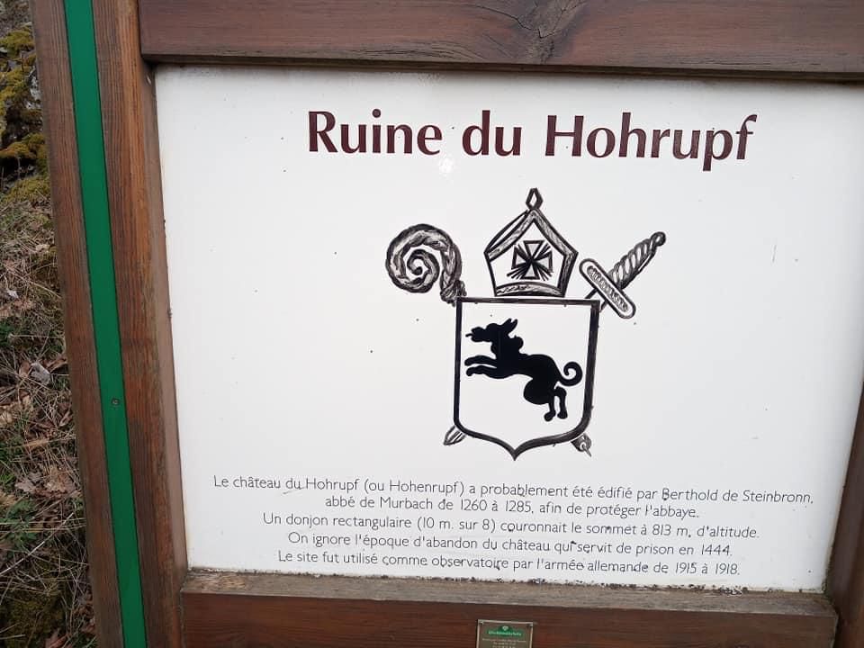 Ruines du Hohrupf — photo 3