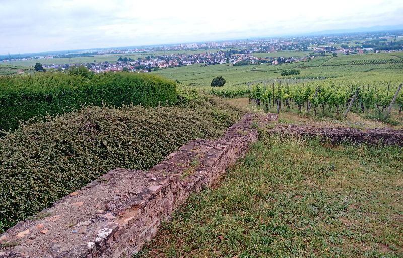 Vicus romain (gîte d'étape) — photo 3