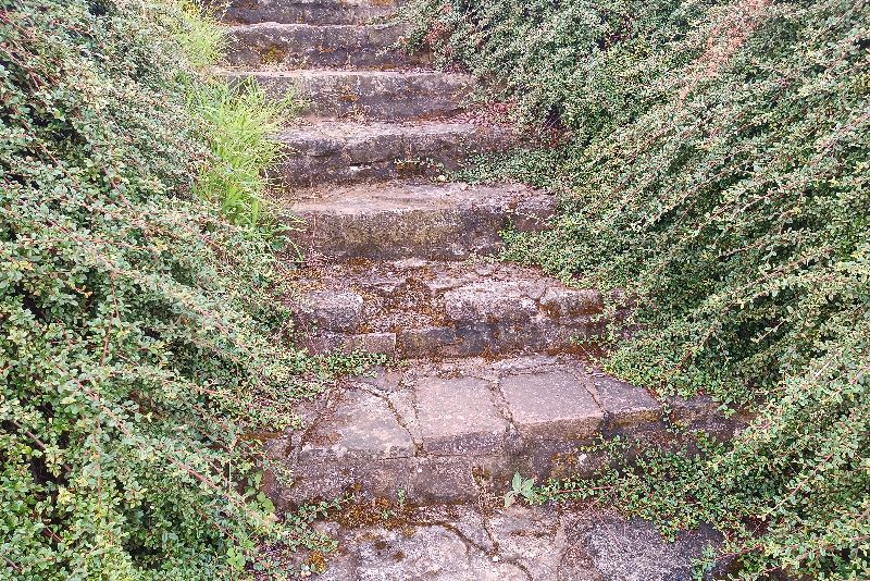 Vicus romain (gîte d'étape) — photo 5