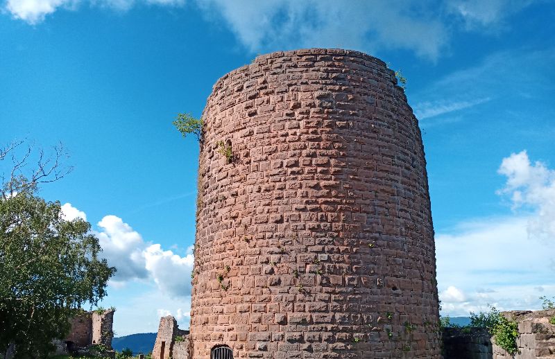 Château du Falkenbourg — photo 2
