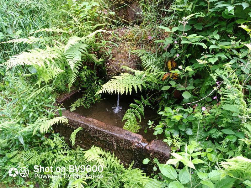 Fontaine Briant