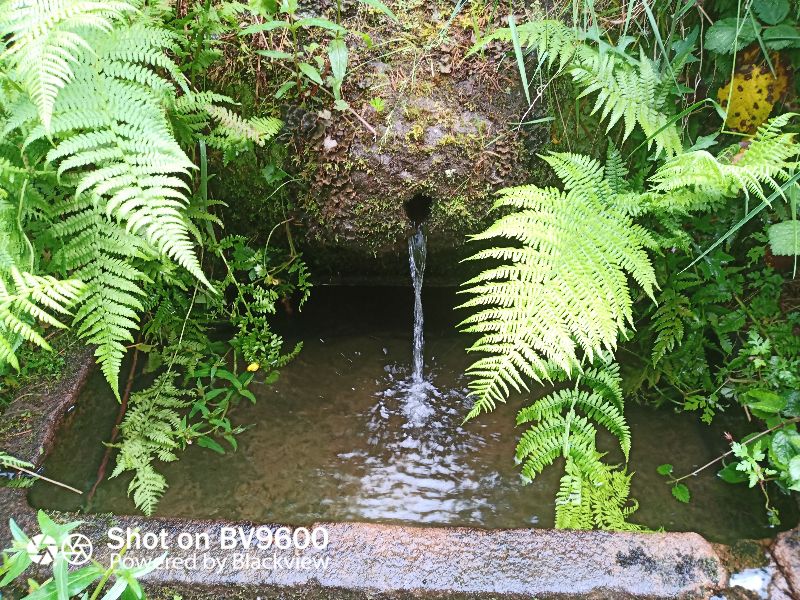 Fontaine Briant — photo 2
