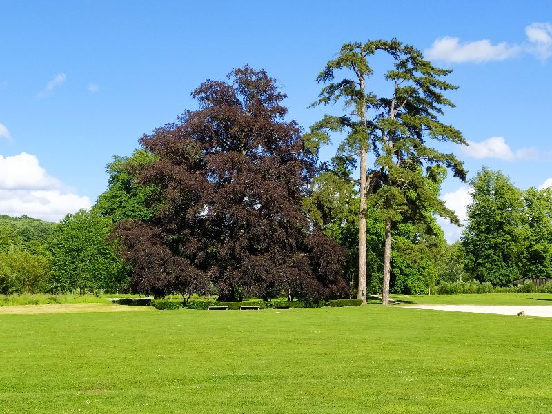 Le parc de l'abbaye du Valasse — photo 3