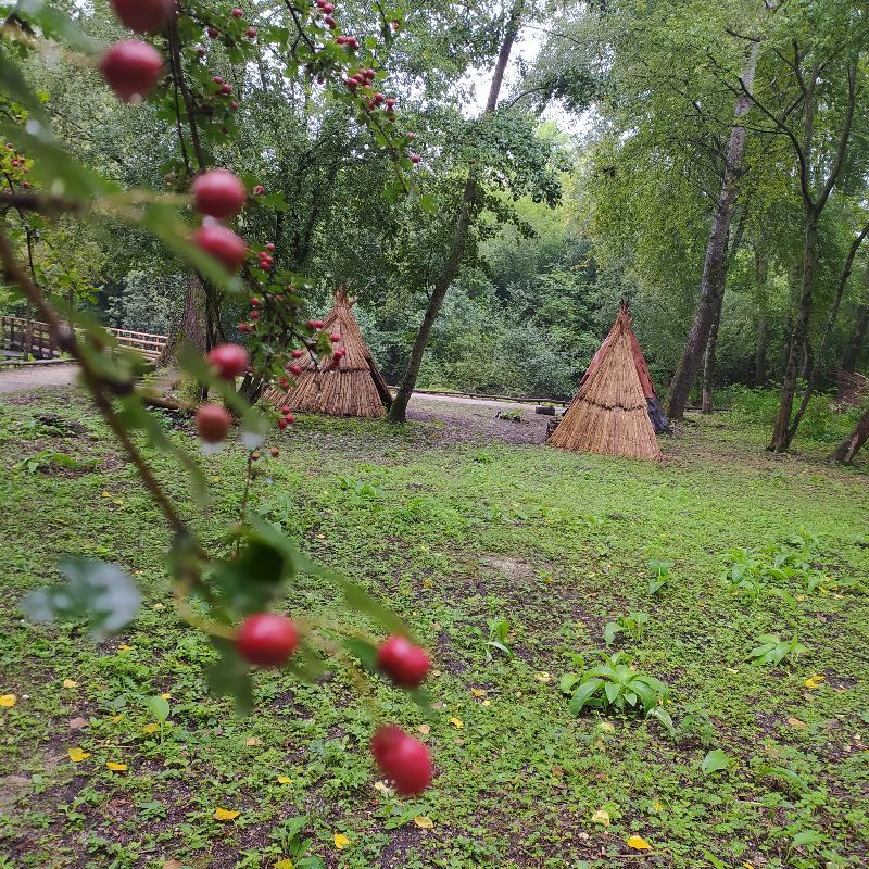 Samara parc — photo 2